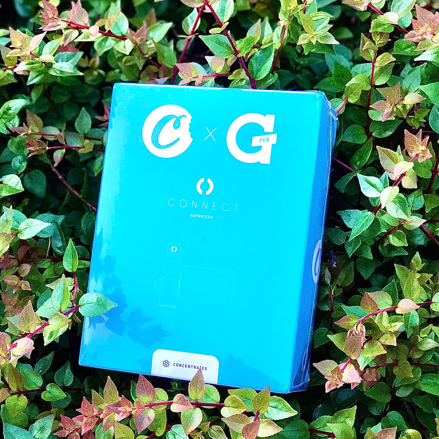 GPen Connect